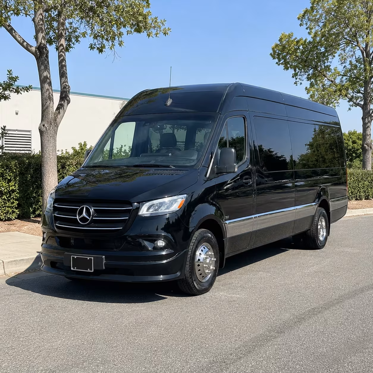 sprinter limousine